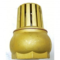 Foot Valve